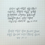 [잠언17장,19장] 말의 신중함과 감정조절의 중요성