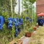 부산송정초등학교 천연염색 체험 자연친화력 수업