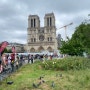 파리 여행 '시테섬' 꽃시장 그리고 여유 있는 여행법