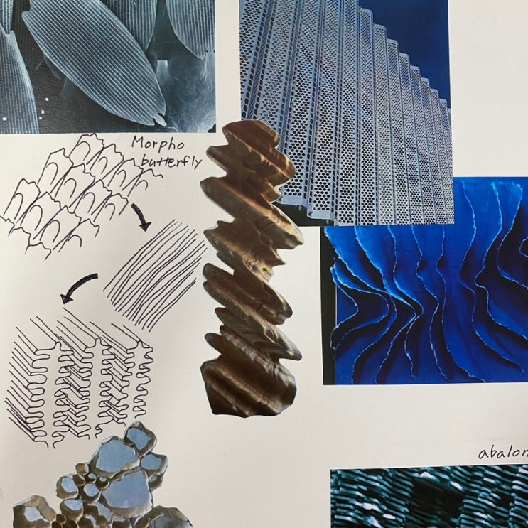 [2022DKUFashionShow] Structural color (By 최시현) : 네이버 블로그