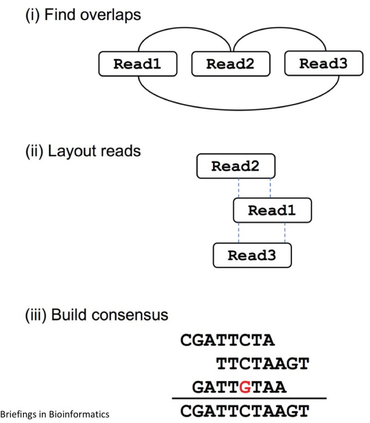 [Bioinformatics] De Novo Assembly (using ABySS, SPAdes) : 네이버 블로그