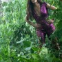 반짝이 옷을 입은 산드라 블록이 정글 속을 종횡무진하는 어드벤쳐 영화. 로스트 시티(2022년작)