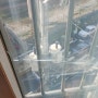 베란다 샷시 창문 대형 유리를 교체하다.
