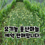 2022년산 유기농 홍산마늘 예약판매합니다(종료)