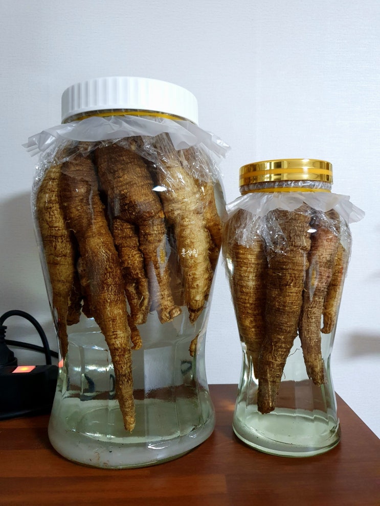 [담금주 더덕주] 다이소 과실주병, 더덕주 담그는법 : 네이버 블로그