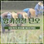 🌾'양기철철 단오' 돌아보기! (feat.모내기~창포물 머리감기)🙋♀️