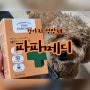 [강아지 영양제] '파파메디' 강아지 유산균 프로바이오틱스