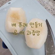 6개월 아기 간식 초간단 배 퓨레 만들기, 과즙망 활용