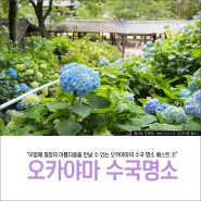6월 말~7월 초 만개하는 오카야마 수국 명소 베스트3