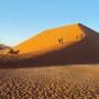 나미브 사막, 세상에서 가장 오래된 사막