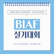 2022 제22회 BIAF 전국학생만화ㆍ애니메이션대전(고등부) 정보 - [안양ㅣ평촌애니공간만화학원]