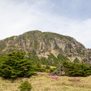 220612 한라산 국립공원 윗세오름[영실매표소~영실휴게소~윗세오름~남벽분기점~어리목]