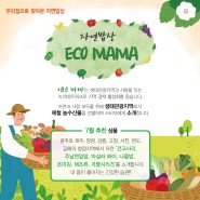 [에코마마] 7월 광주, 제주, 창원, 강릉 외 4개소의 신선한 농수산물을 소개합니다.