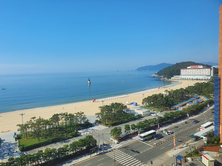2022.07.02 - 차는 모셔두고 몸만 부산여행 (D+35) : 네이버 블로그