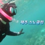 제주 스노클링 [세화스노쿨링 /함덕스노쿨링]