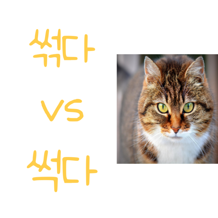 '썩다', '썪다' 중 올바른 표기는? : 네이버 블로그