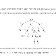 [algorithm/트리] 백준 3584번 - 가장 가까운 공통조상 (JAVA)