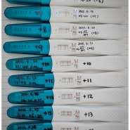 [40대 임신 5주 화학적 유산] 동결 5일 배양 7일, 8일, 15일째 임테기 변화: 난저 시험관 착상 후 임신에서 화유, 종결까지