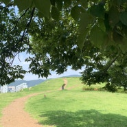 [김해] 대성동 고분군 산책💚