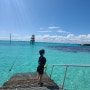 한달 미국여행 :; Day7, 멕시코 칸쿤에서 페리타고 여인의섬 이슬라 무헤레스/가라폰 국립공원 Garrafon Reef Park & Beach Club/칸쿤 기념품거리