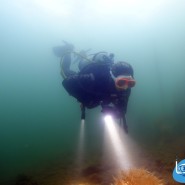 정글다이브와 남해바다에서 즐기는 스쿠버다이빙 나이트다이빙