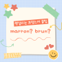프랑스어로 갈색을 표현할 때는 Marron? Brun?