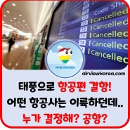 ⚡태풍으로 제주도 ✈️항공편 결항!? 결정은 누가 할까? 항공사/공항/운항관리사