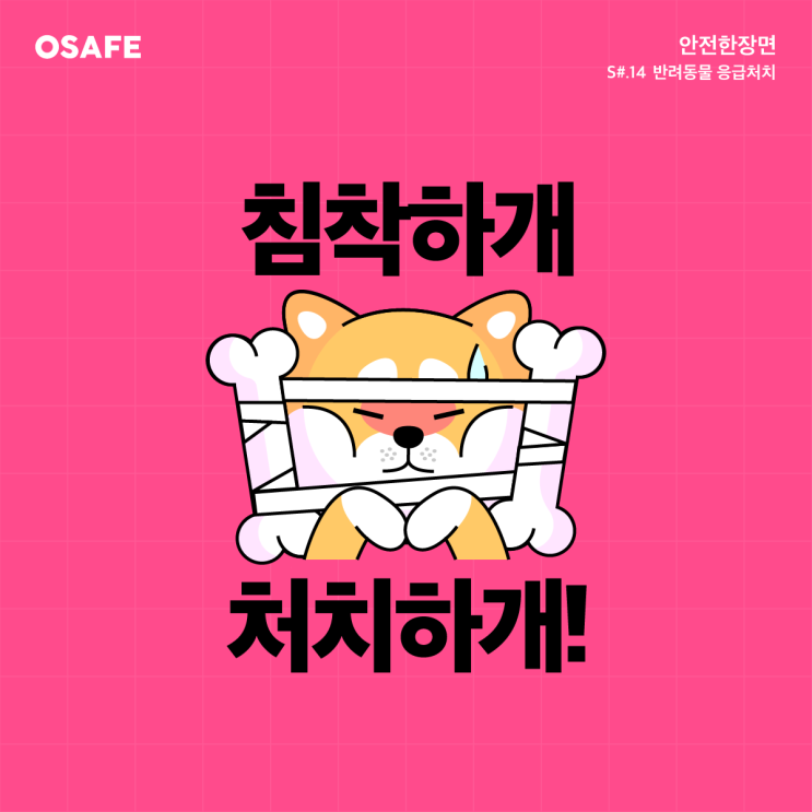 침착하개 처치하개! : 네이버 블로그