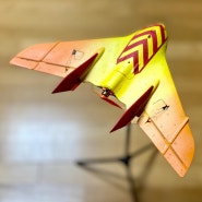LDARC Tiny Wing - Flying Wing 450X