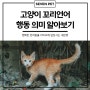 고양이 꼬리언어, 행동 의미 알아보기