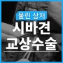 <시바견 교상> 물림 사고 수술 케이스ㅣ서초구 강아지 수술 전문 병원