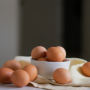 단백질 식품, 평소 자주 봣던 계란 효능