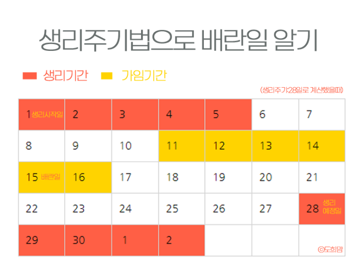 가임기 배란일 증상과 생리주기로 계산 feat. 배란테스트기 : 네이버 블로그
