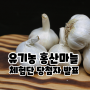 유기농 홍산마늘 블로그 체험단 당첨자 발표