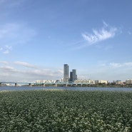 LH, 수도권 행보주택 및 국민임대주택 입주자 모집공고 2(추가 수정공고)