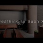 [Breathing in Bach XV] Well-Tempered Clavier, Book 2 No.14 in F# Minor, BWV 883