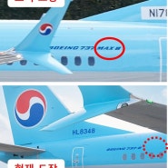 ✈️대한항공 보잉 🛩️B737-8 비행기, "MAX(맥스)" 글자 지운 이유는?☑️