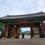 [남산골한옥마을] 남산골공원에서 바라보는 남산 야경, 서울 데이트 코스, 충무로 데이트코스