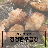 [맛집][서울 영등포구청] 영등포구청역 곱창, 대창 맛집 '청정한우곱창'