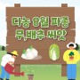 8월 파종작물(파종씨앗)/ 배추, 무 편