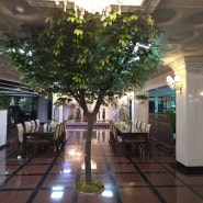 포천파크 레스토랑 인조나무 설치하기#배롱나무 #벗꽃나무 #느티나무