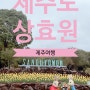 제주여행 서귀포 돈내코 꽃의정원 '상효원수목원'에 갔다왔어요 :)