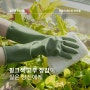 [이달의 베스트 아이템] 100% 천연 고무로 만든 러버랩 천연 고무장갑