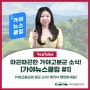 [유튜브] 가야고분군의 따끈따끈한 소식! 가야뉴스클립 #1