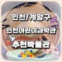 [인천/계양구] 인천어린이과학관 비오는날 아이와 가볼만한곳 실내 놀이체험