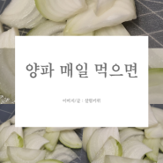 양파 매일 먹으면 내장지방 분해 될까요?