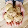[혜은농원] 수미감자로 포근포근 달콤짭짤 맛있게 감자 삶는 방법