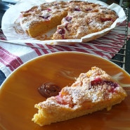 살구케이크 만들기- 새콤하고 향기로운 여름의 맛! Apricot Cake