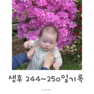 [육아일기]::생후8개월 244-250 분유양,분리수유,수면시간,이유식양기록