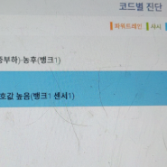 중고 NF소나타 트랜스폼 LPG, 갑자기 출력이 안 좋거나 가속이 안될때? (산소센서, 스로틀바디 with 평우택시복지 독산점)